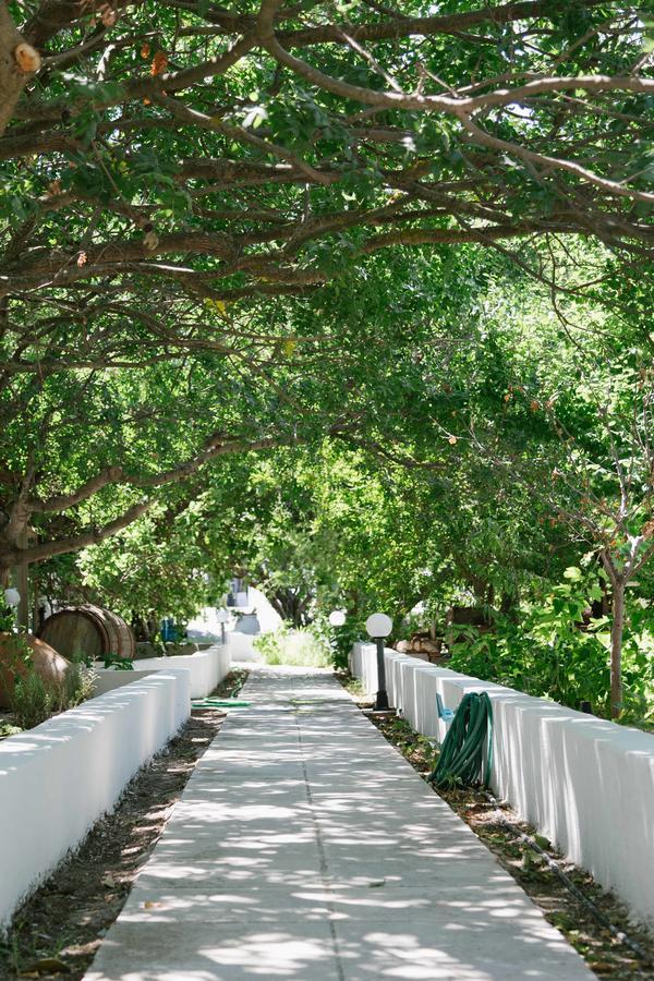 Aparthotel Alkithea Adamantas (Milos)
